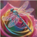 50x50 55Farben Beautiful Dragonfly