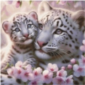 60x60 80Farben Snow leopard Love