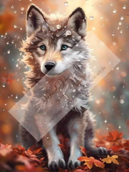 Diamond Painting Bild "Baby wolf in the Autumn Forest"