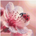 50x50 50 Farben Ladybug on Flower